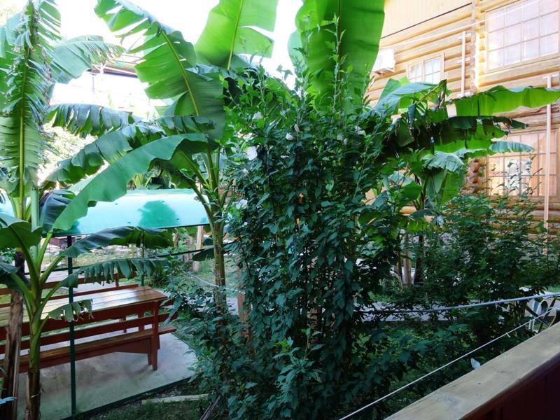 Гостевой Дом "Сария" Hotell #N/A Exteriör bild